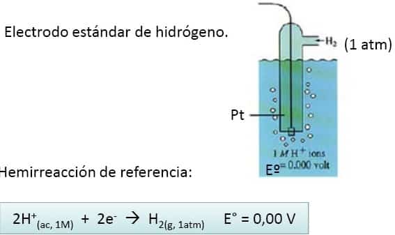 electrodo estándar de hidrogeno en pilas